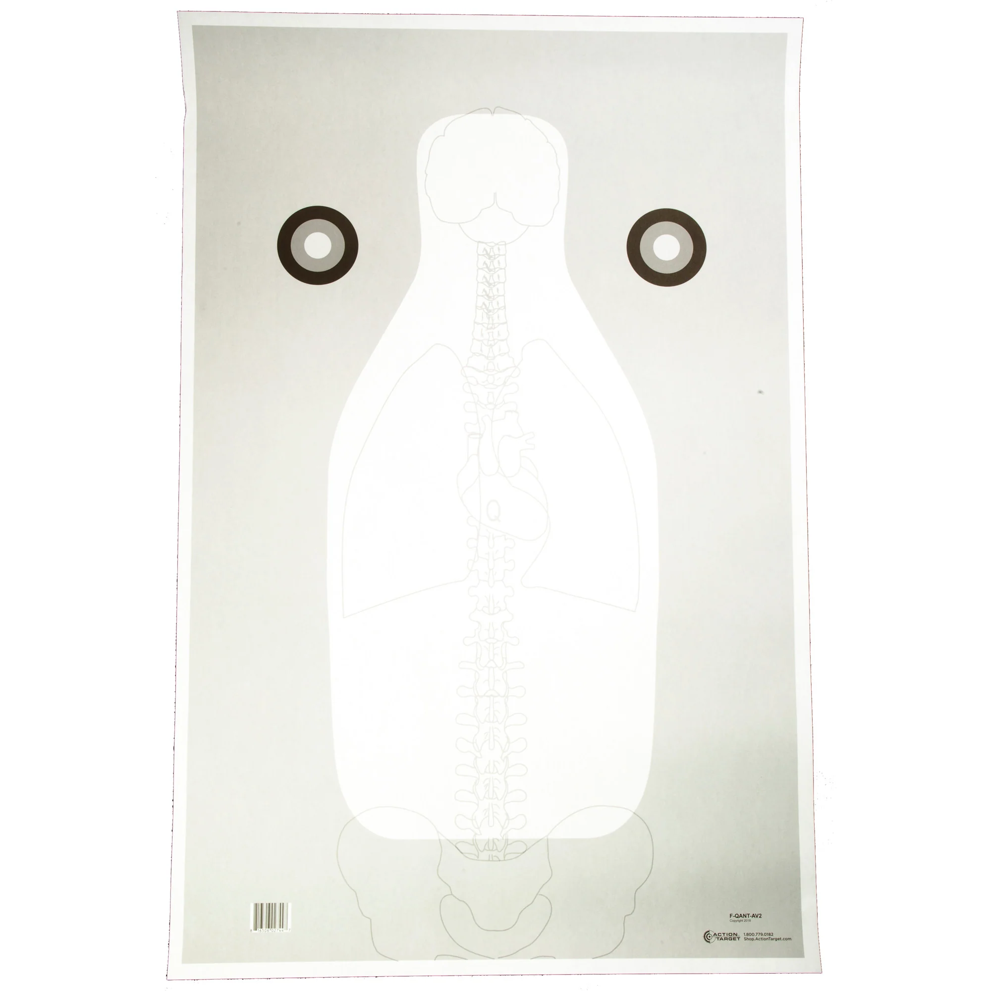 Action Target FBI-Q Vital Anatomy V2 Paper Targets, 23 x 35 in, 100 Pack, F-QANT-AV2-100
