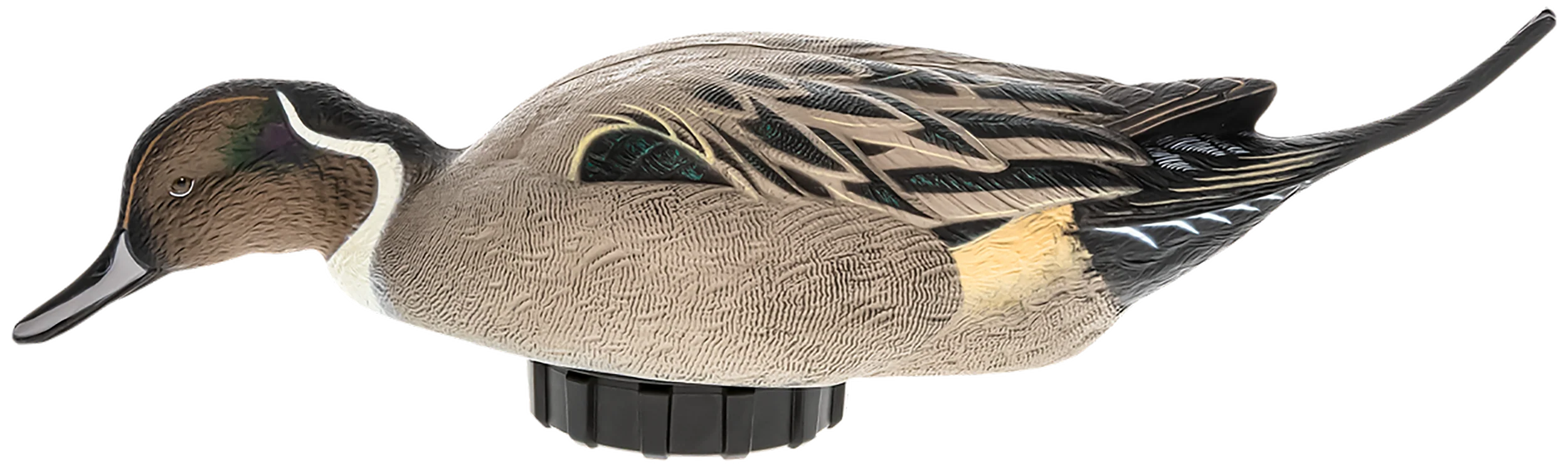 AVIAN X (GSM) Power Shaker Pintail Surface Feeder Duck Decoy, Foam-Filled Motion, AVXPSHPNSF