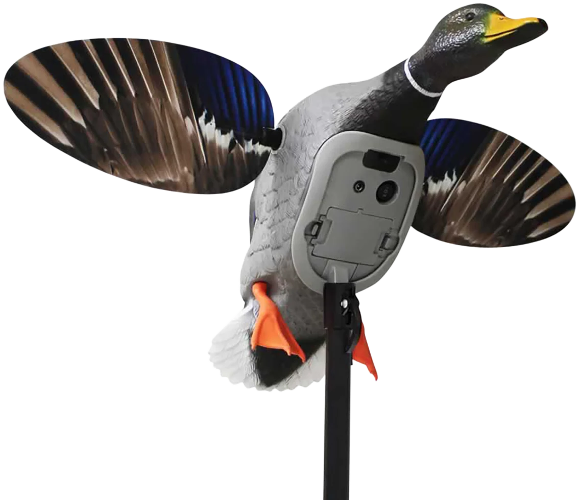 Mojo Elite Series King Mallard Spinning Wing Duck Decoy, 6V Li-ion Battery, Bluetooth Remote, HW2520