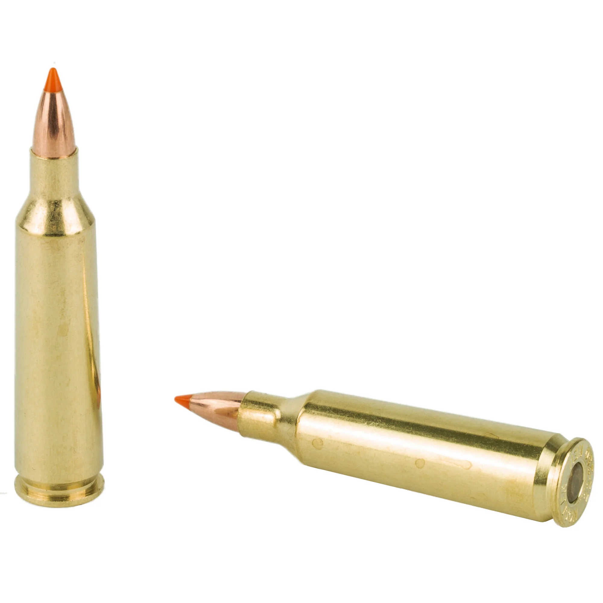 Nosler .22-250 Remington Ballistic Tip Varmint Rifle Ammo, 55 Grain, 20-Round Box 61034 - Image 4