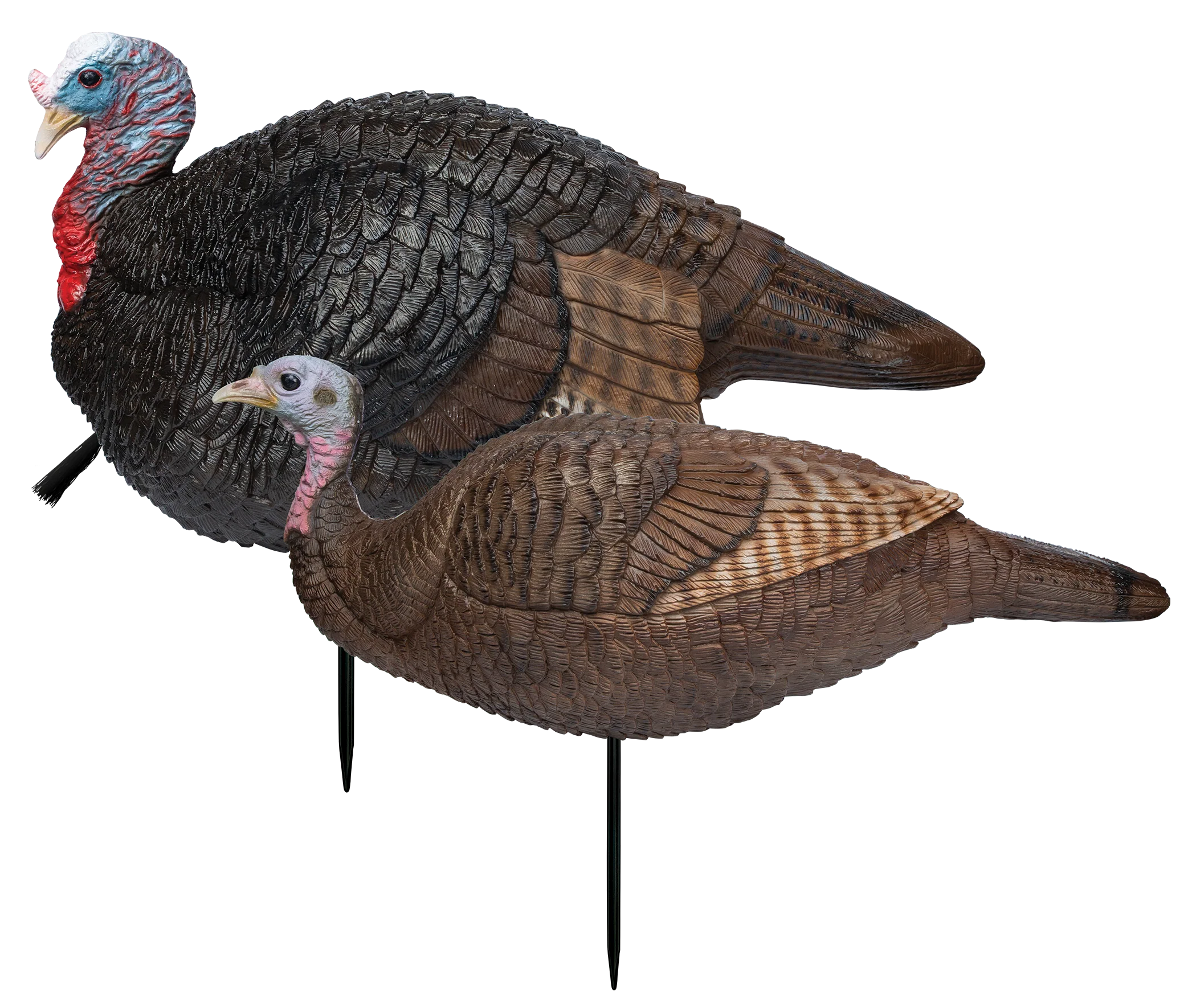 Primos Lil' Gobbstopper Hen & Jake Turkey Decoy Combo, Lightweight Collapsible Set, 69075